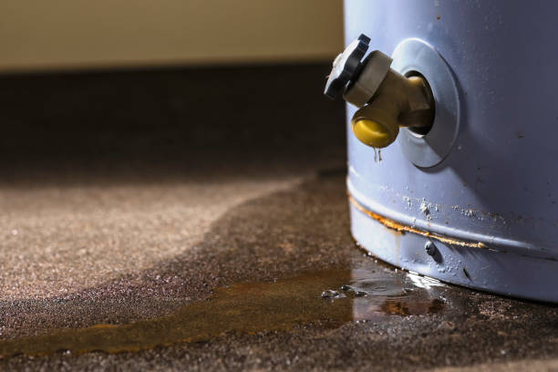 Best Emergency water damage restoration  in Upper Greenwood Lake, NJ