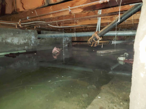 Best Residential water damage restoration  in Upper Greenwood Lake, NJ