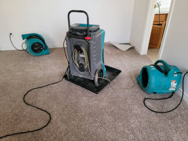 Best Ceiling water damage repair  in Upper Greenwood Lake, NJ