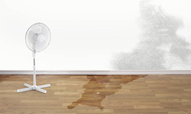 Best Carpet water damage restoration  in Upper Greenwood Lake, NJ
