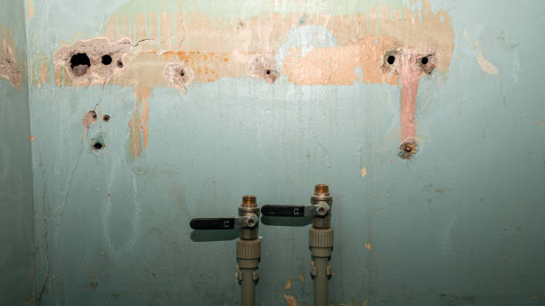 Best Basement water damage restoration  in Upper Greenwood Lake, NJ