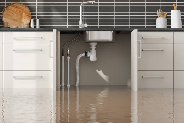 Best Flooded house restoration  in Upper Greenwood Lake, NJ