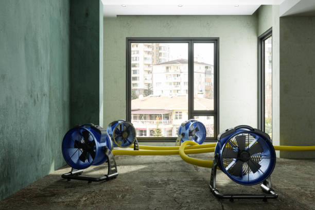 Reliable Upper Greenwood Lake, NJ Water damage restoration Solutions