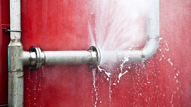 Water damage restoration mold remediation in Upper Greenwood Lake, NJ