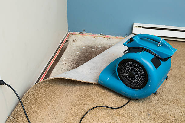 Best Commercial water damage restoration  in Upper Greenwood Lake, NJ